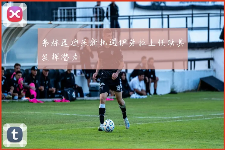 弗林蓬迎来新机遇伊劳拉上任助其发挥潜力
