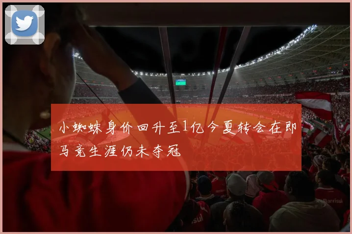 小蜘蛛身价回升至1亿今夏转会在即马竞生涯仍未夺冠